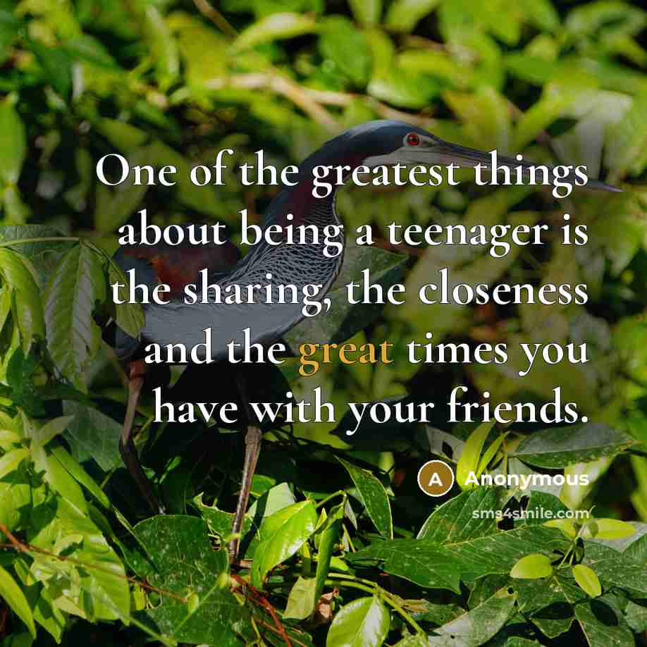“One of the greatest things about being a teenager is the sharing, the closeness and the great times you have with your friends.” quote by Anonymous