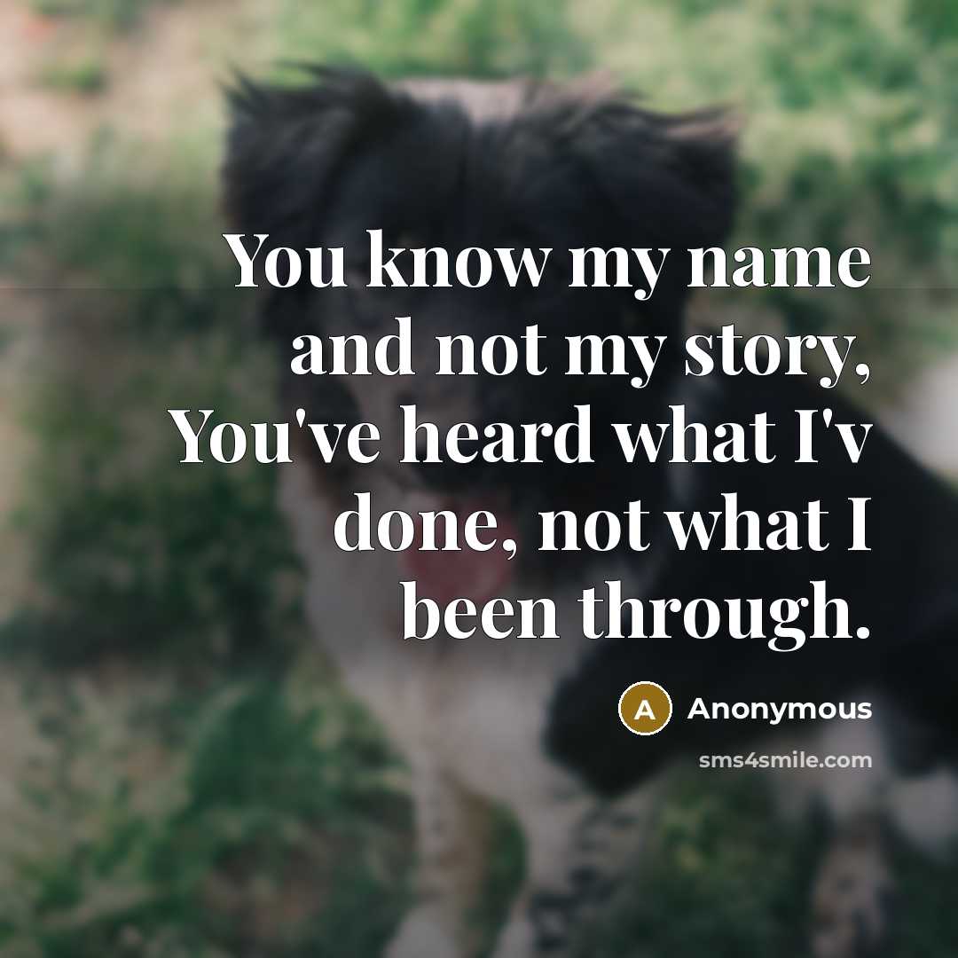 “You know my name and not my story, You've heard…” quote by Anonymous