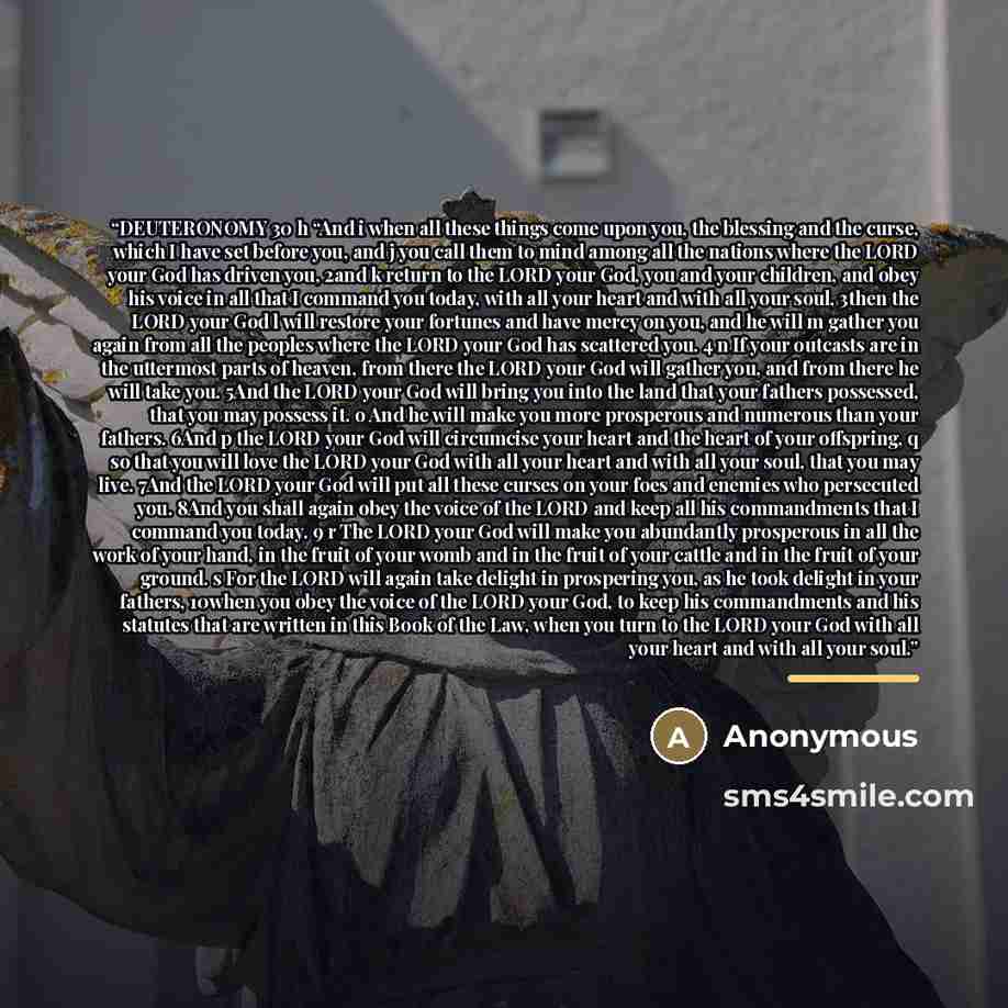 “DEUTERONOMY 30 h “And i when all these things come upon you, the blessing and the curse, which I have set before you, and j you call them to mind among all the nations where the LORD your God has driven you, 2and k return to the LORD your God, you and your children, and obey his voice in all that…” quote by Anonymous