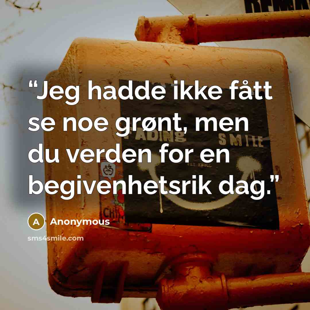 “Jeg hadde ikke fått se noe grønt, men du verden for en begivenhetsrik dag.” quote by Anonymous