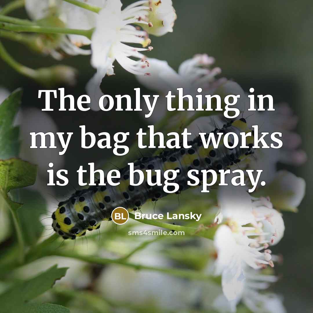 “The only thing in my bag that works is the…” quote by Bruce Lansky