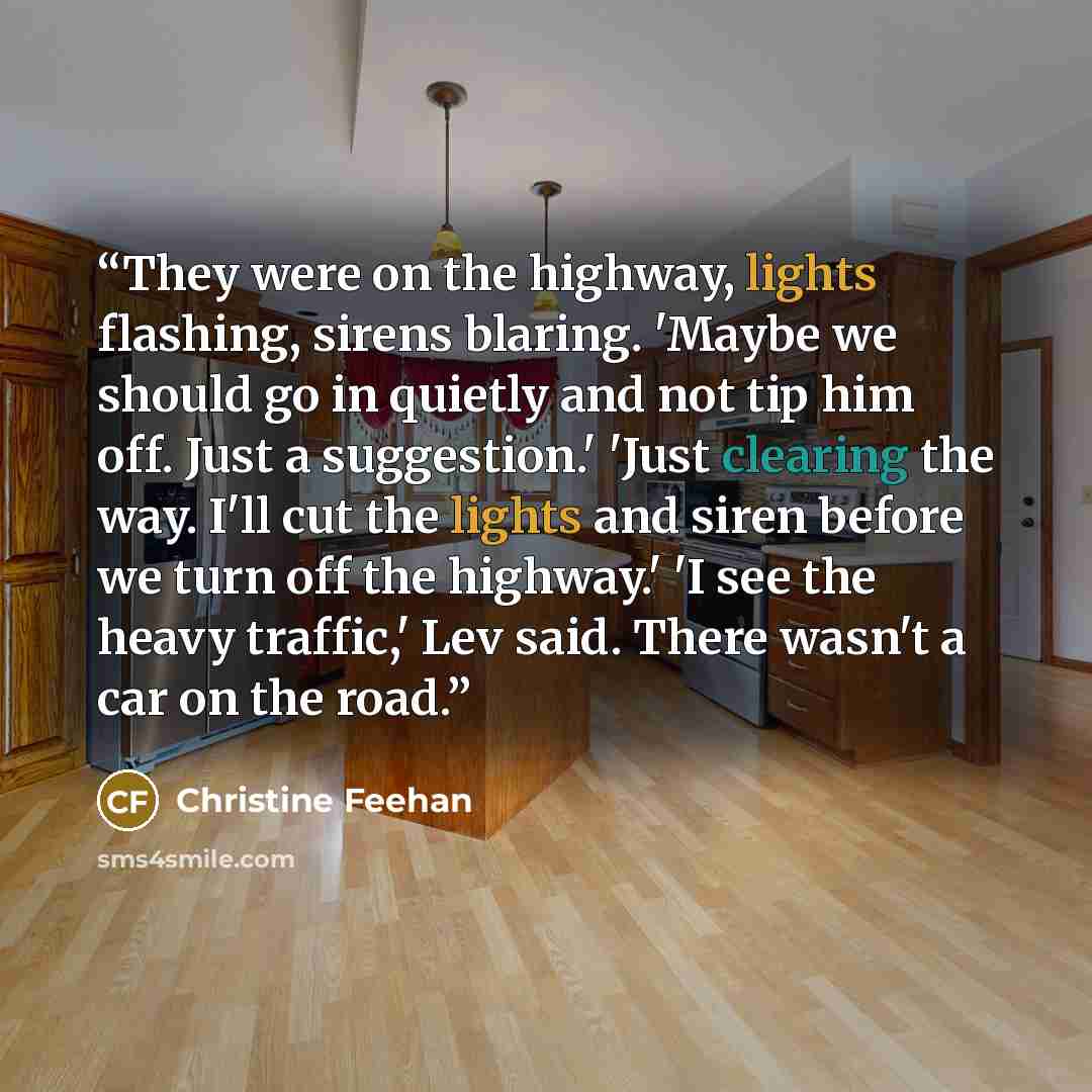 “They were on the highway, lights flashing, sirens blaring. 'Maybe we should go in quietly and not tip him off. Just a suggestion.' 'Just clearing the way. I'll cut the lights and siren before we turn off the highway.' 'I see the heavy traffic,' Lev said. There wasn't a car on the road.” quote by Christine Feehan