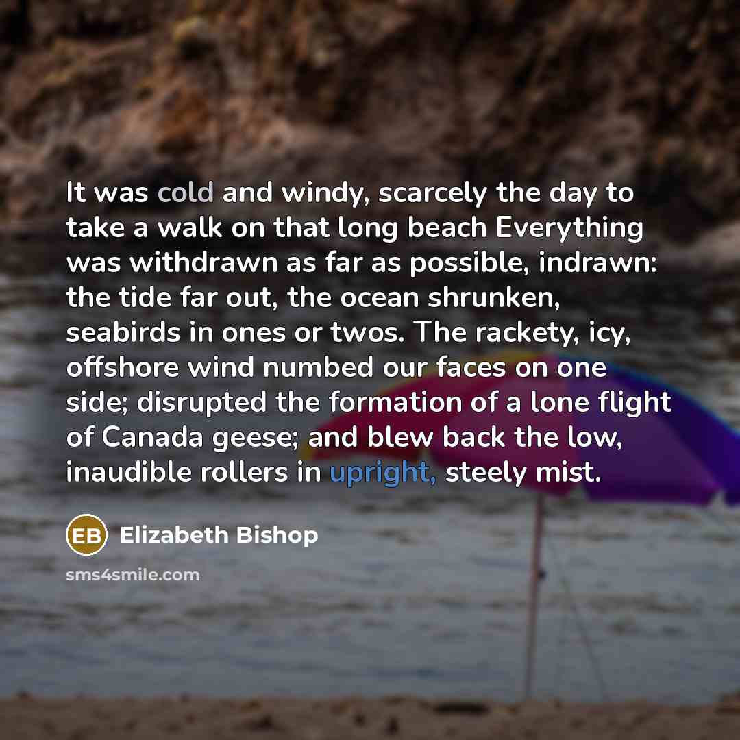 “It was cold and windy, scarcely the day to take…” quote by Elizabeth Bishop