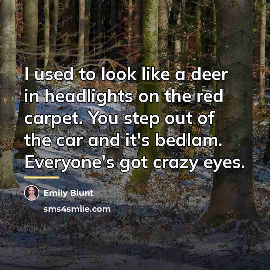“I used to look like a deer in headlights on…” quote by Emily Blunt