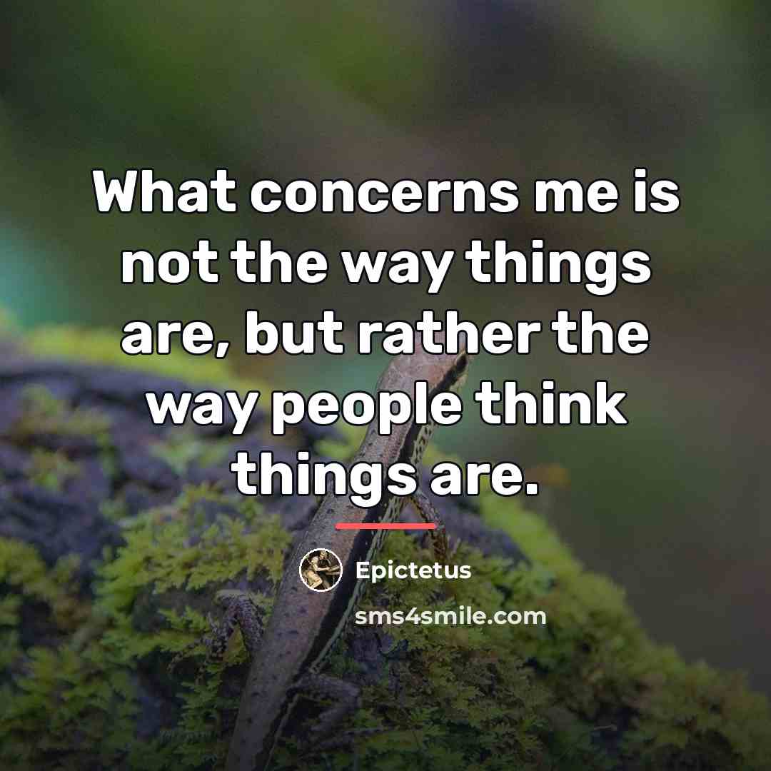 “What concerns me is not the way things are, but…” quote by Epictetus