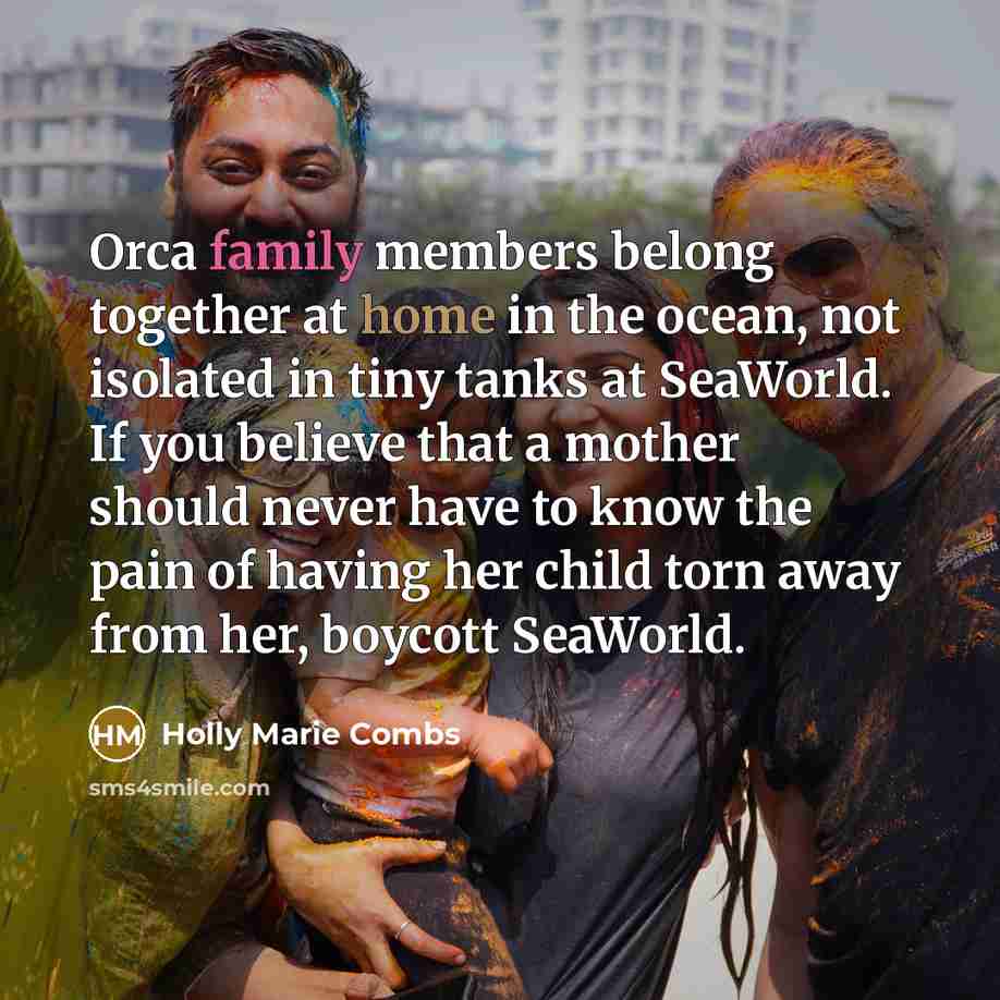 “Orca family members belong together at home in the ocean,…” quote by Holly Marie Combs