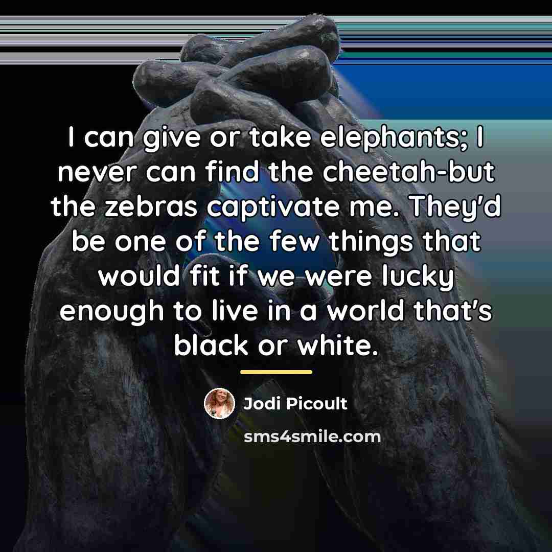 “I can give or take elephants; I never can find…” quote by Jodi Picoult