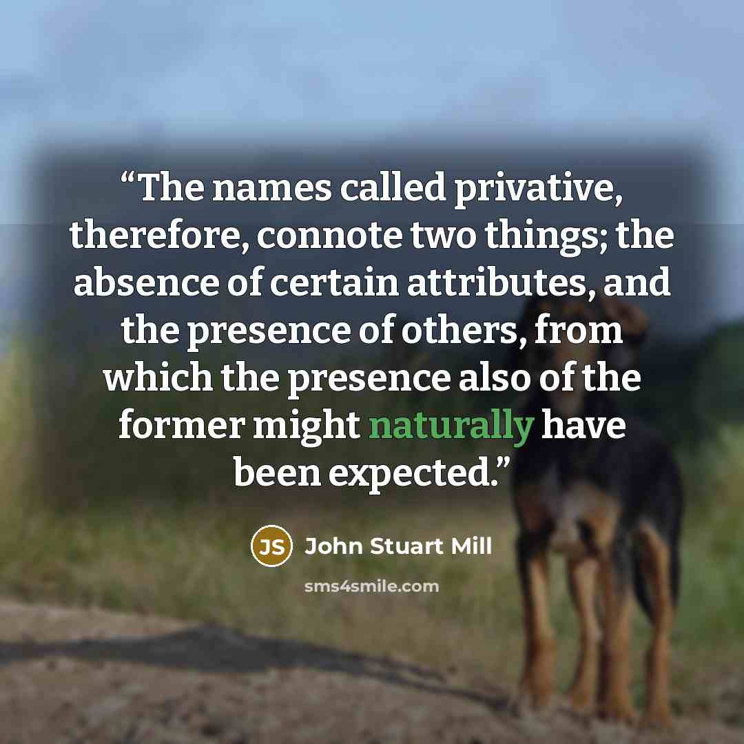 “The names called privative, therefore, connote two things; the absence of certain attributes, and the presence of others, from which the presence also of the former might naturally have been expected.” quote by John Stuart Mill