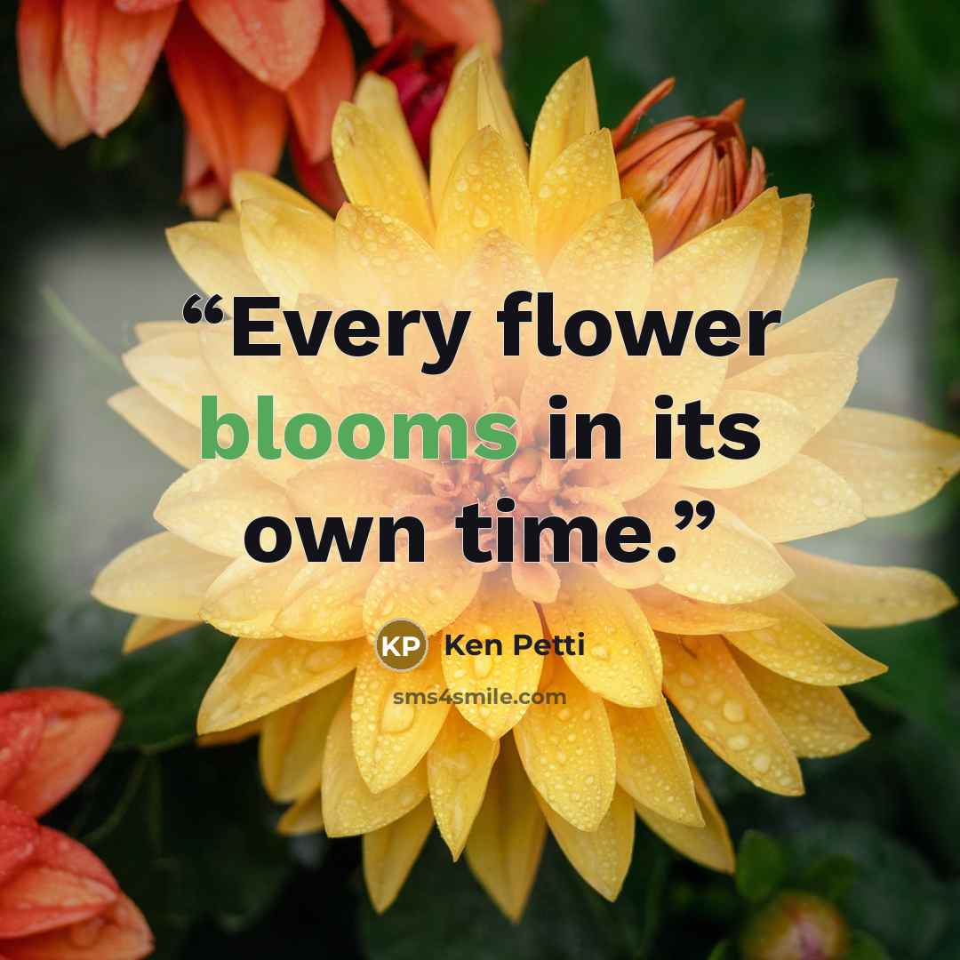 “Every flower blooms in its own time.” quote by Ken Petti