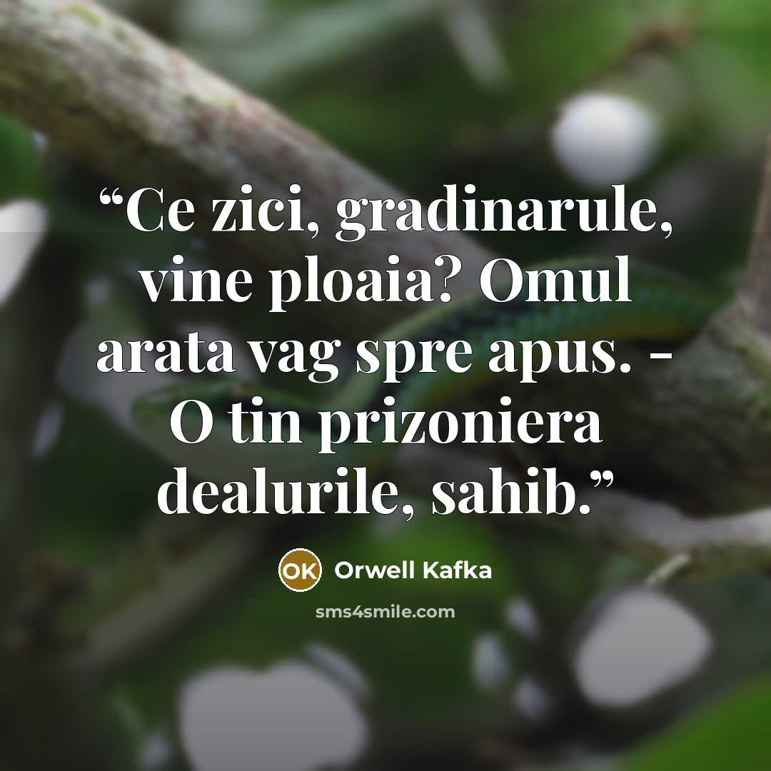 “Ce zici, gradinarule, vine ploaia? Omul arata vag spre apus. - O tin prizoniera dealurile, sahib.” quote by Orwell Kafka