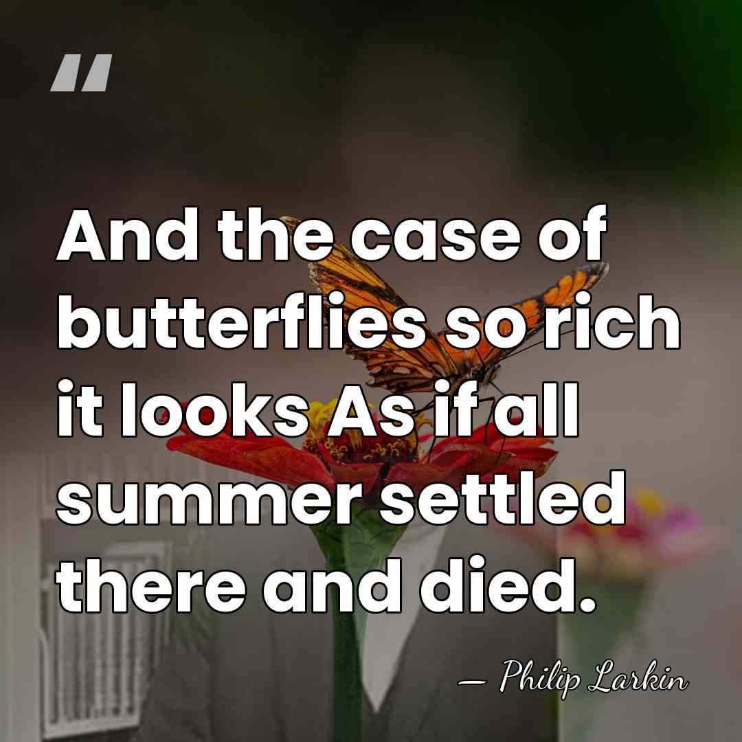 And the case of butterflies so rich it looks As if all&hellip; - Philip Larkin