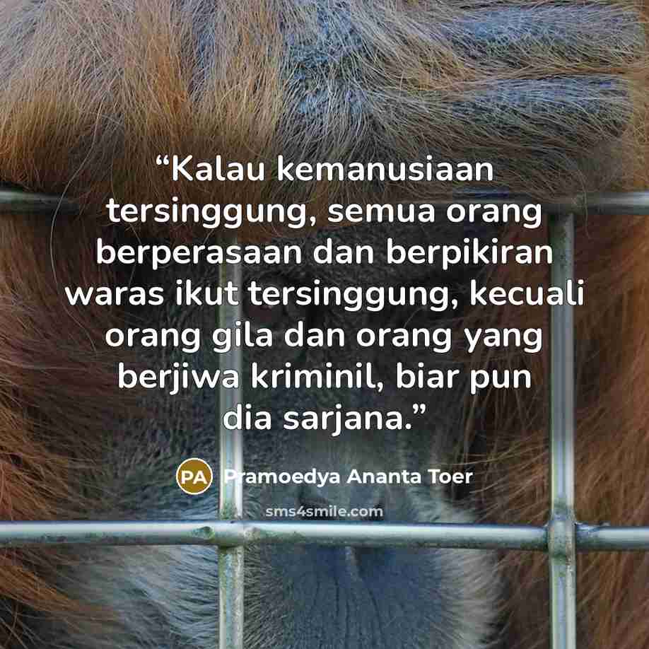 “Kalau kemanusiaan tersinggung, semua orang berperasaan dan berpikiran waras ikut tersinggung, kecuali orang gila dan orang yang berjiwa kriminil, biar pun dia sarjana.” quote by Pramoedya Ananta Toer