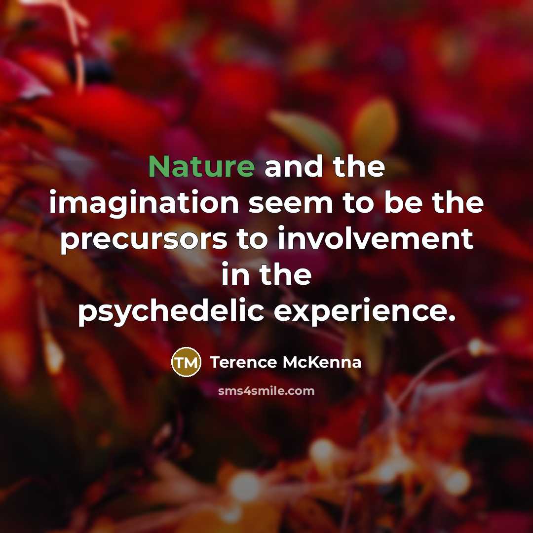 “Nature and the imagination seem to be the precursors to…” quote by Terence McKenna