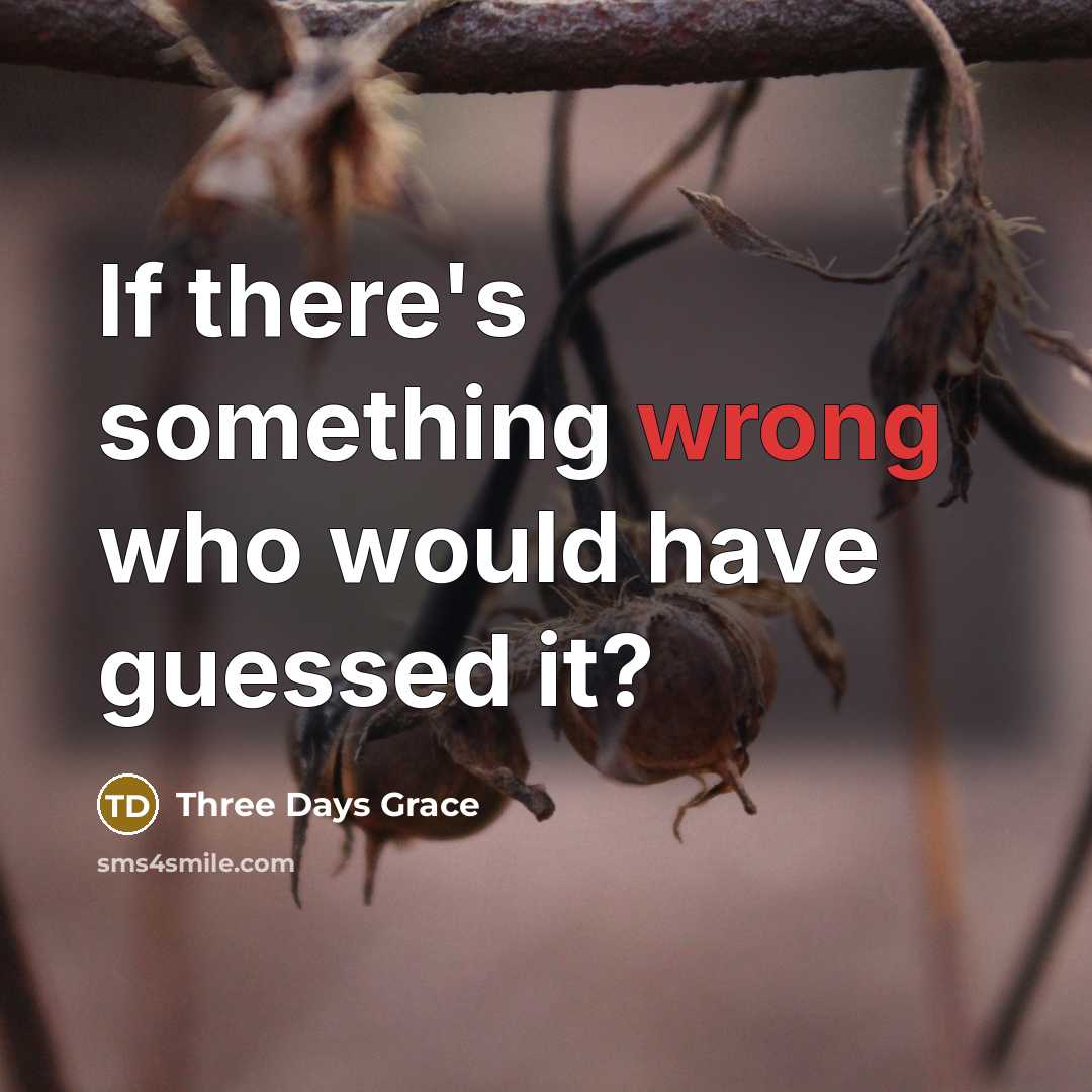 “If there's something wrong who would have guessed it?” quote by Three Days Grace