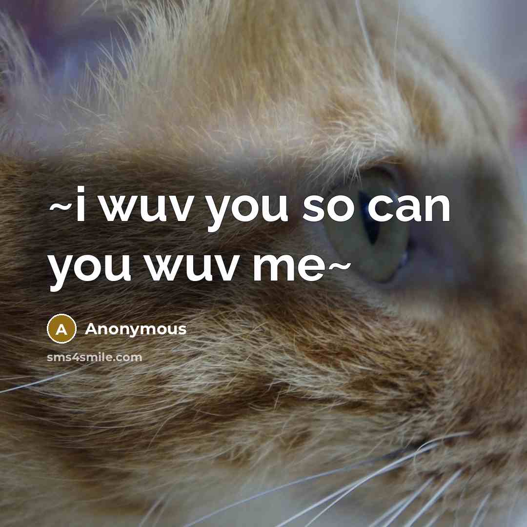 “~i wuv you so can you wuv me~…” quote by Anonymous