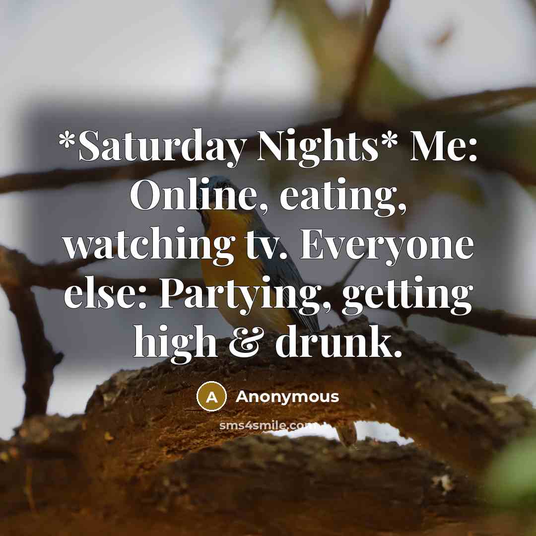 “*Saturday Nights* Me: Online, eating, watching tv. Everyone else: Partying,…” quote by Anonymous