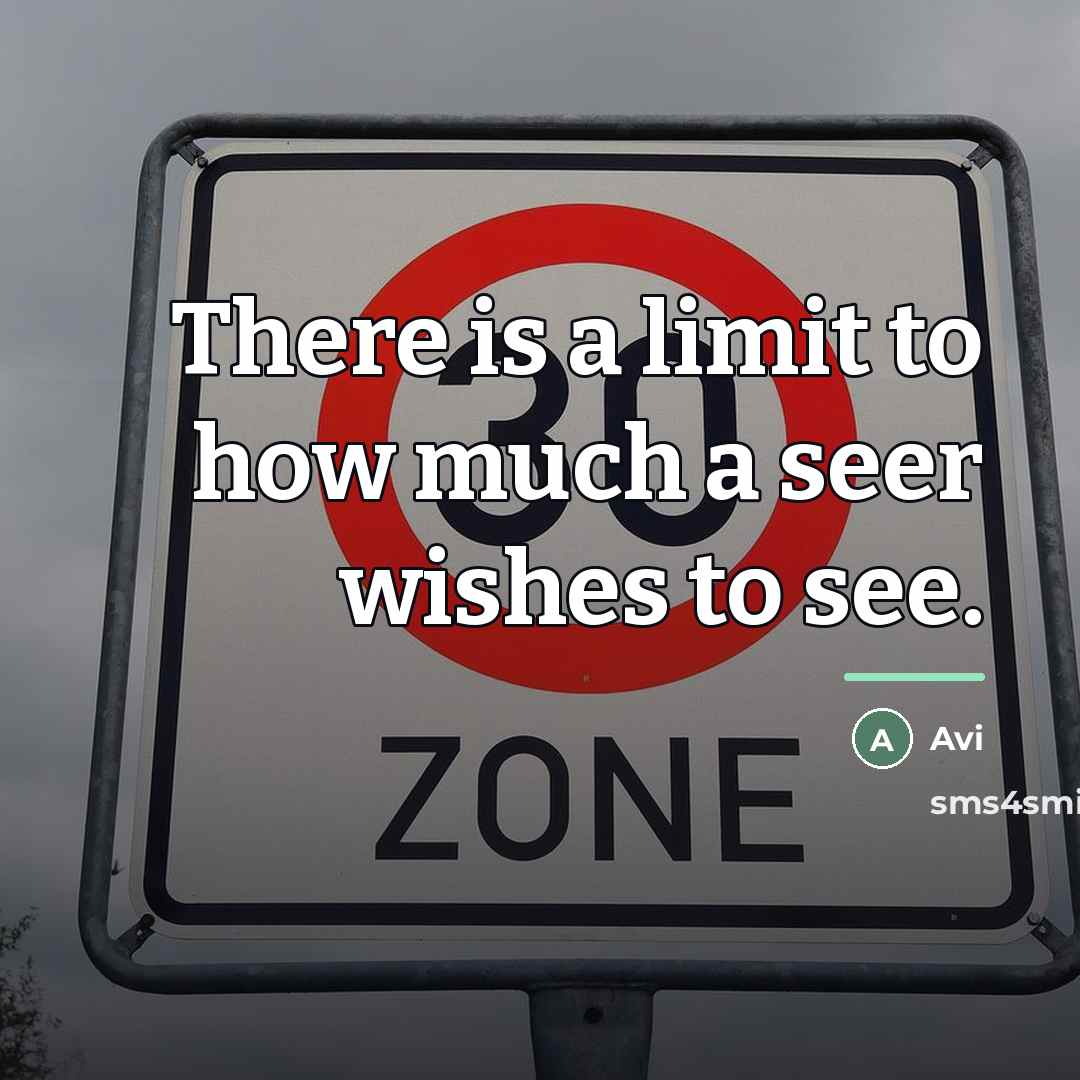“There is a limit to how much a seer wishes…” quote by Avi