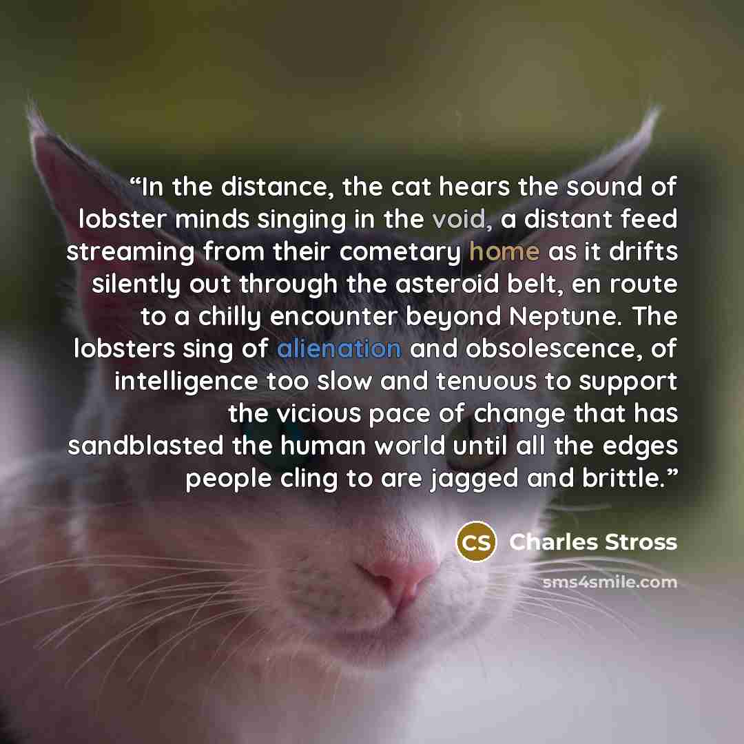 “In the distance, the cat hears the sound of lobster minds singing in the void, a distant feed streaming from their cometary home as it drifts silently out through the asteroid belt, en route to a chilly encounter beyond Neptune. The lobsters sing of alienation and obsolescence, of intelligence too…” quote by Charles Stross
