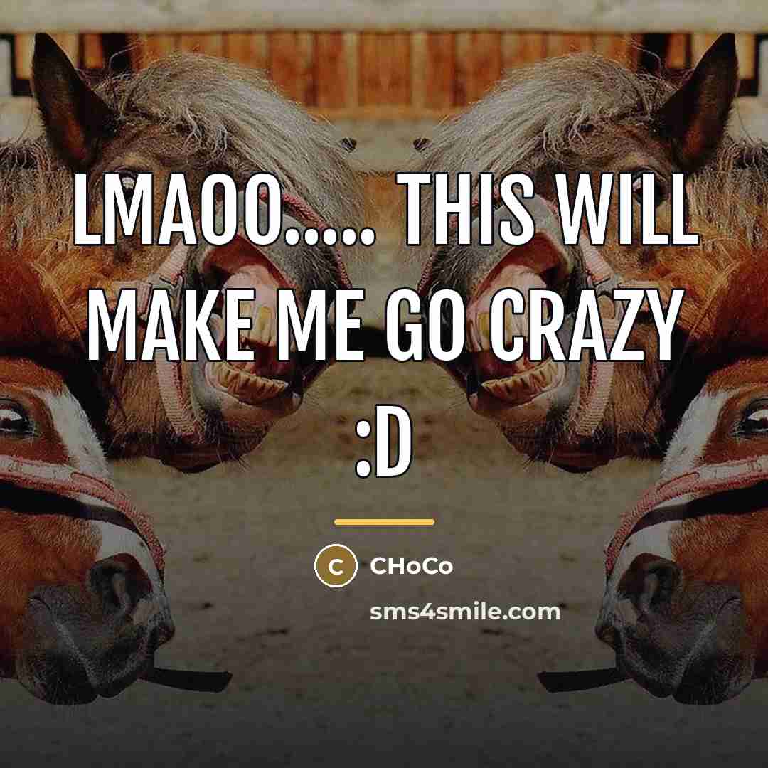 “LMAOO..... THIS WILL MAKE ME GO CRAZY :D…” quote by CHoCo