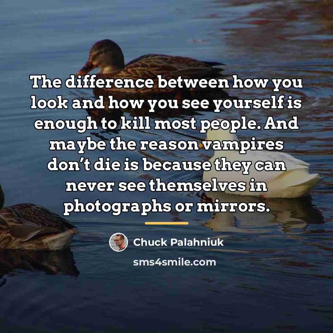 “The difference between how you look and how you see…” quote by Chuck Palahniuk