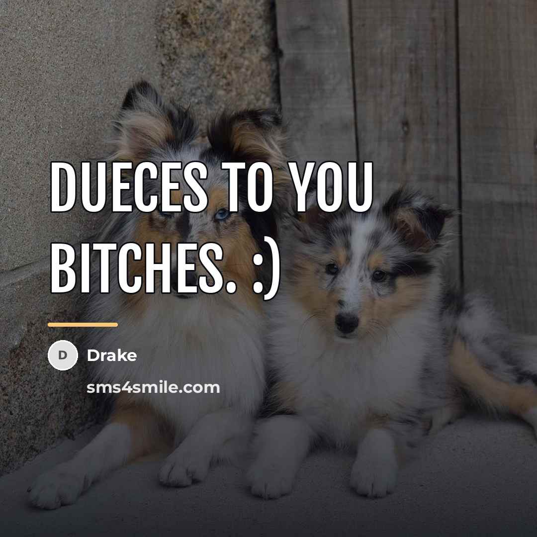 “Dueces to you bitches. :)…” quote by Drake