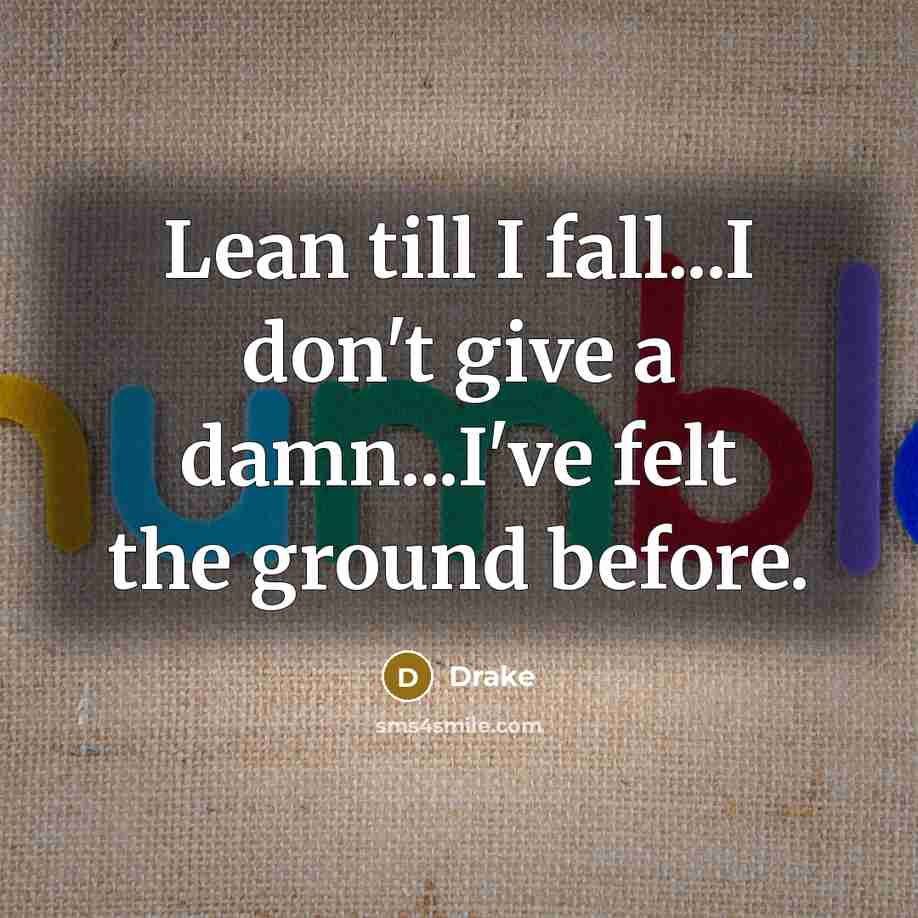 “Lean till I fall...I don't give a damn...I've felt the…” quote by Drake