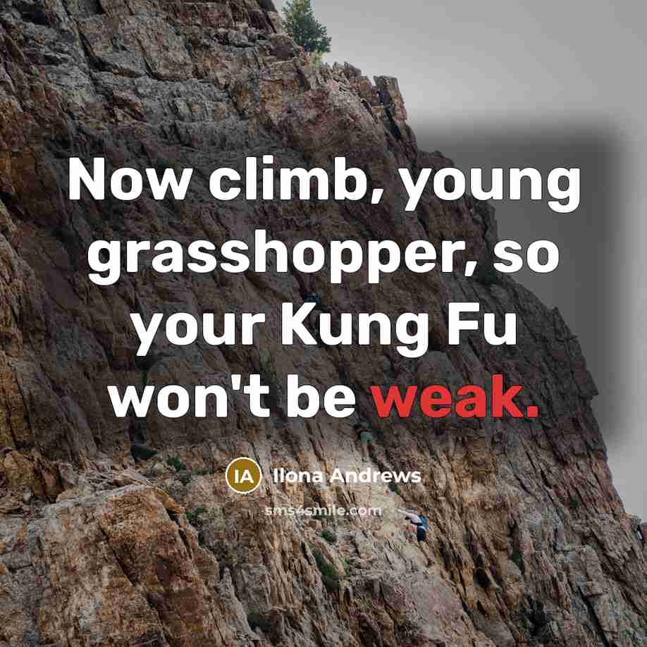“Now climb, young grasshopper, so your Kung Fu won't be…” quote by Ilona Andrews