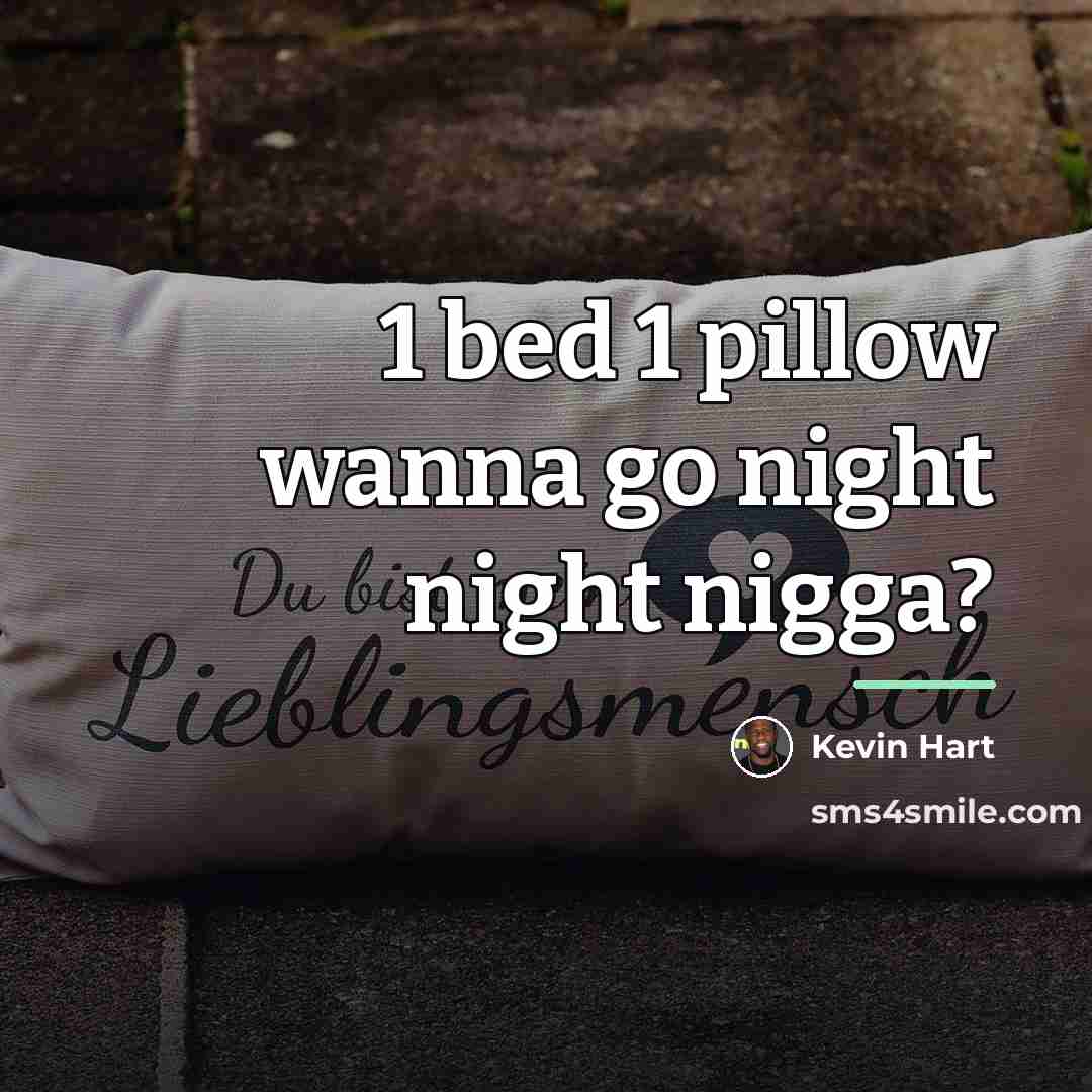 “1 bed 1 pillow wanna go night night nigga?…” quote by Kevin Hart
