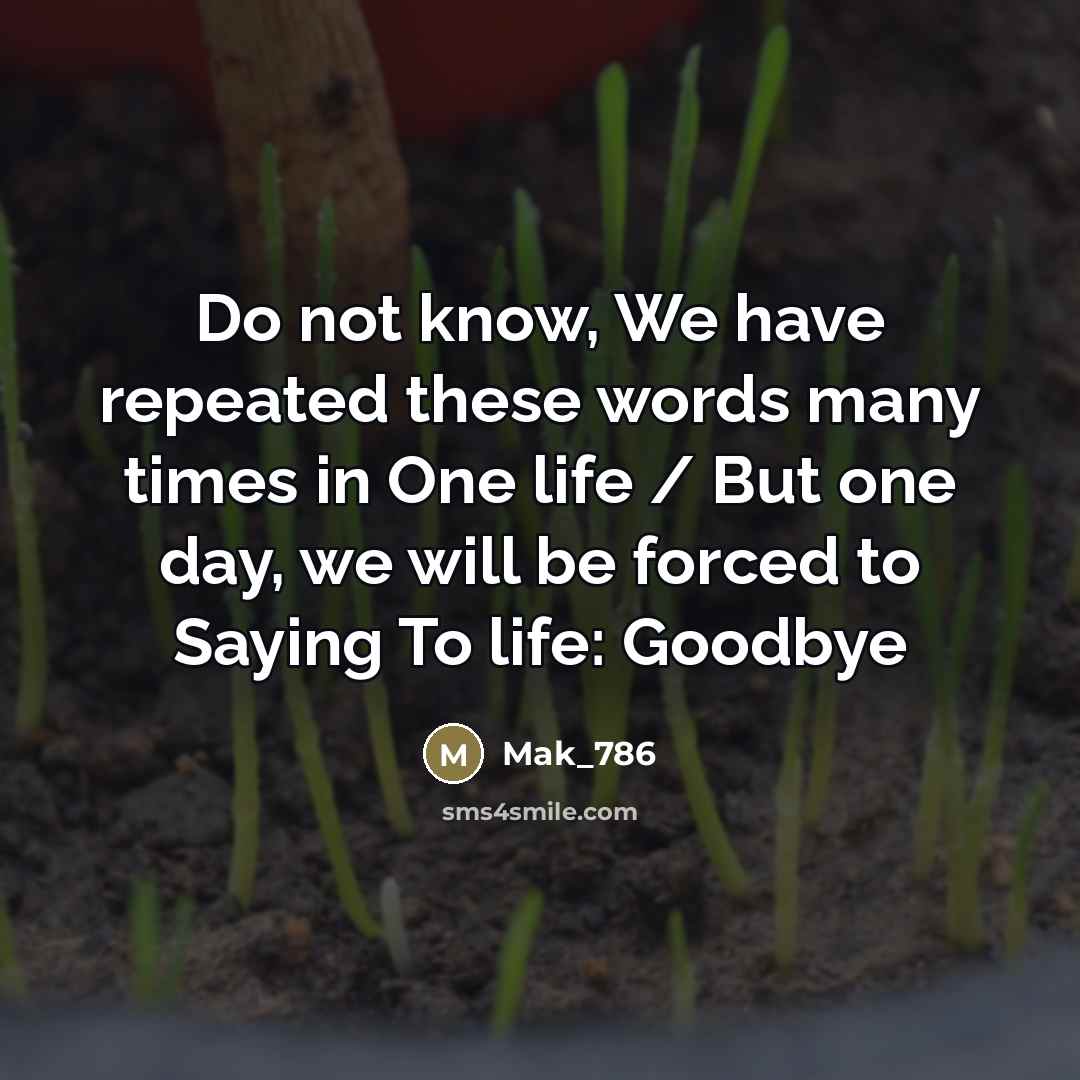 “Do not know, We have repeated these words many times…” quote by Mak_786