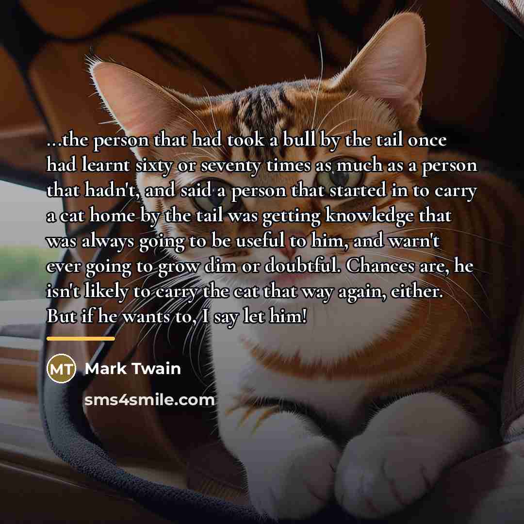 “...the person that had took a bull by the tail…” quote by Mark Twain