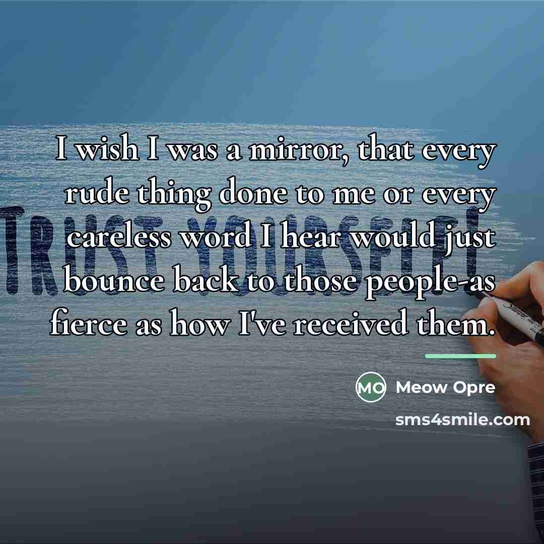 “I wish I was a mirror, that every rude thing…” quote by Meow Opre