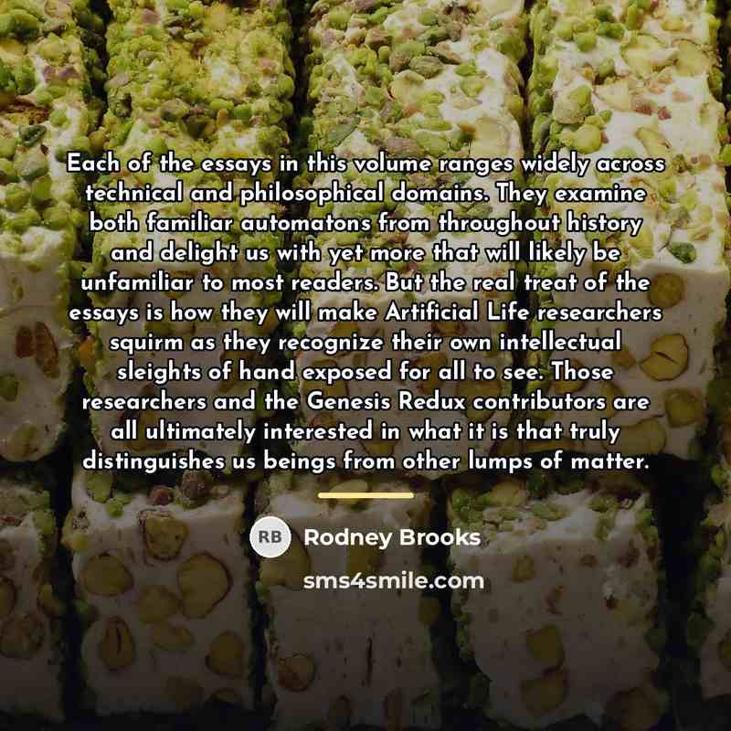 “Each of the essays in this volume ranges widely across…” quote by Rodney Brooks