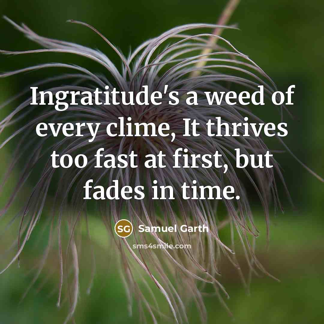 “Ingratitude's a weed of every clime, It thrives too fast…” quote by Samuel Garth