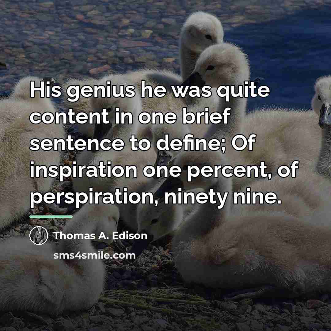 “His genius he was quite content in one brief sentence…” quote by Thomas A. Edison