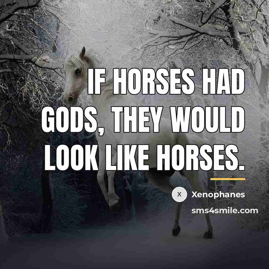 “If horses had Gods, they would look like horses.…” quote by Xenophanes