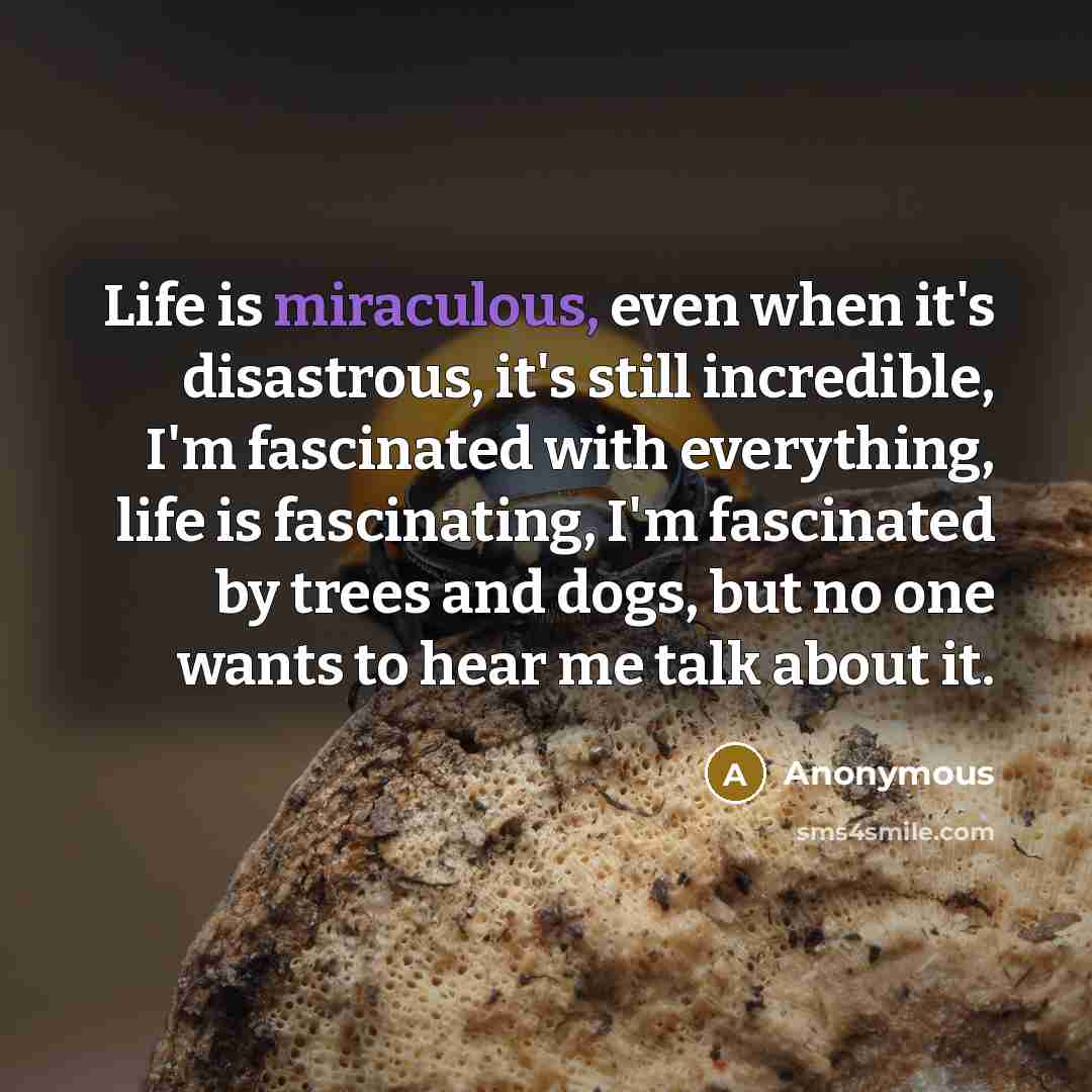 “Life is miraculous, even when it's disastrous, it's still incredible,…” quote by Anonymous