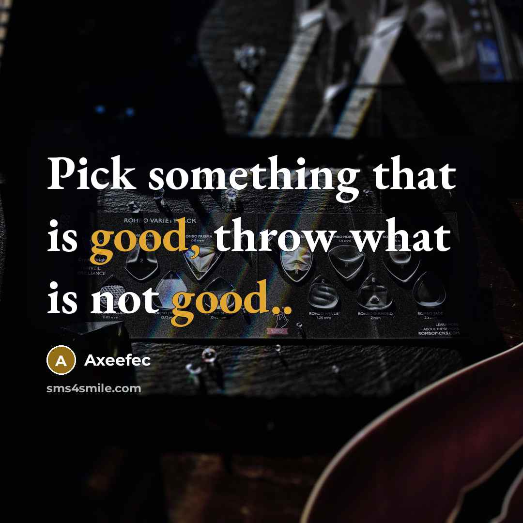 “Pick something that is good, throw what is not good..” quote by Axeefec
