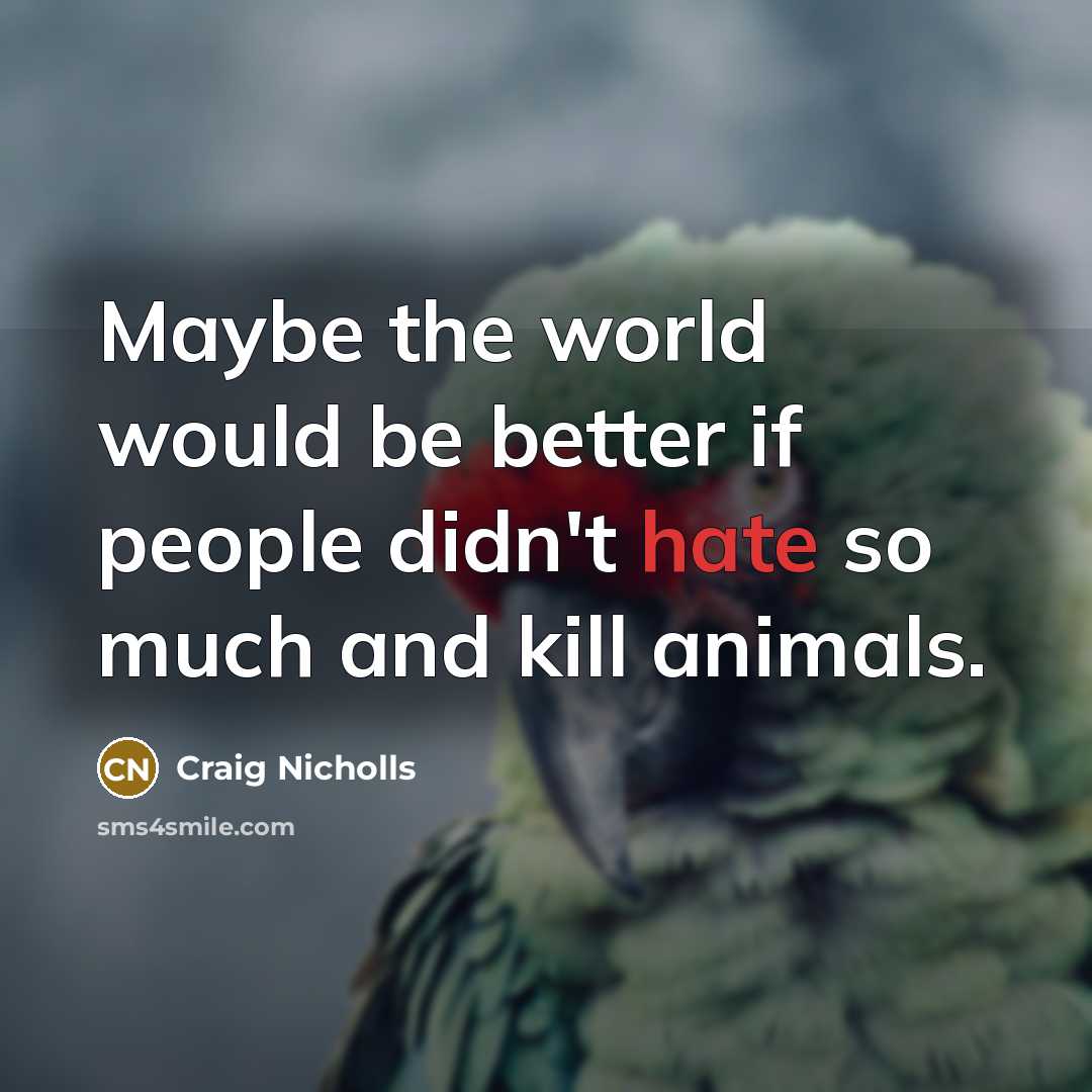 “Maybe the world would be better if people didn't hate…” quote by Craig Nicholls