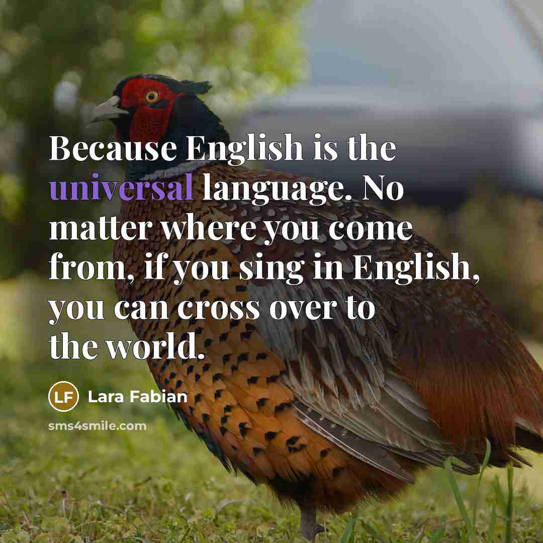 “Because English is the universal language. No matter where you…” quote by Lara Fabian