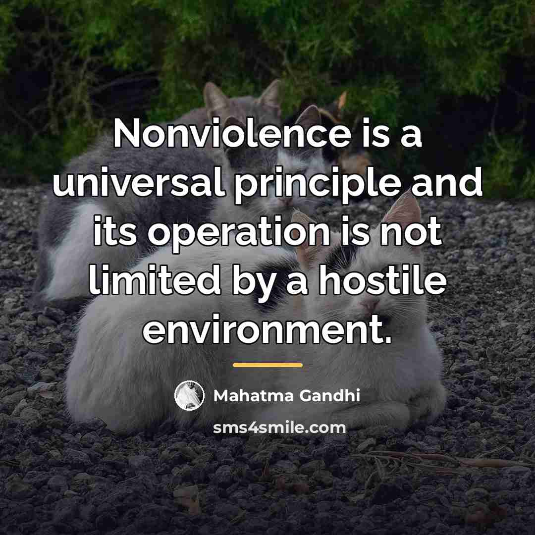 “Nonviolence is a universal principle and its operation is not…” quote by Mahatma Gandhi