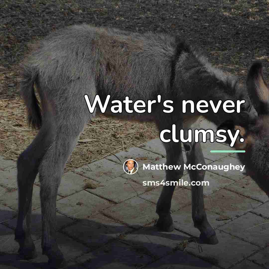 “Water's never clumsy.…” quote by Matthew McConaughey