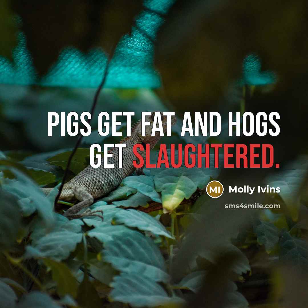“Pigs get fat and hogs get slaughtered.” quote by Molly Ivins
