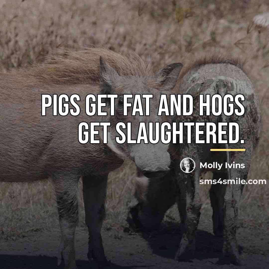 “Pigs get fat and hogs get slaughtered.…” quote by Molly Ivins