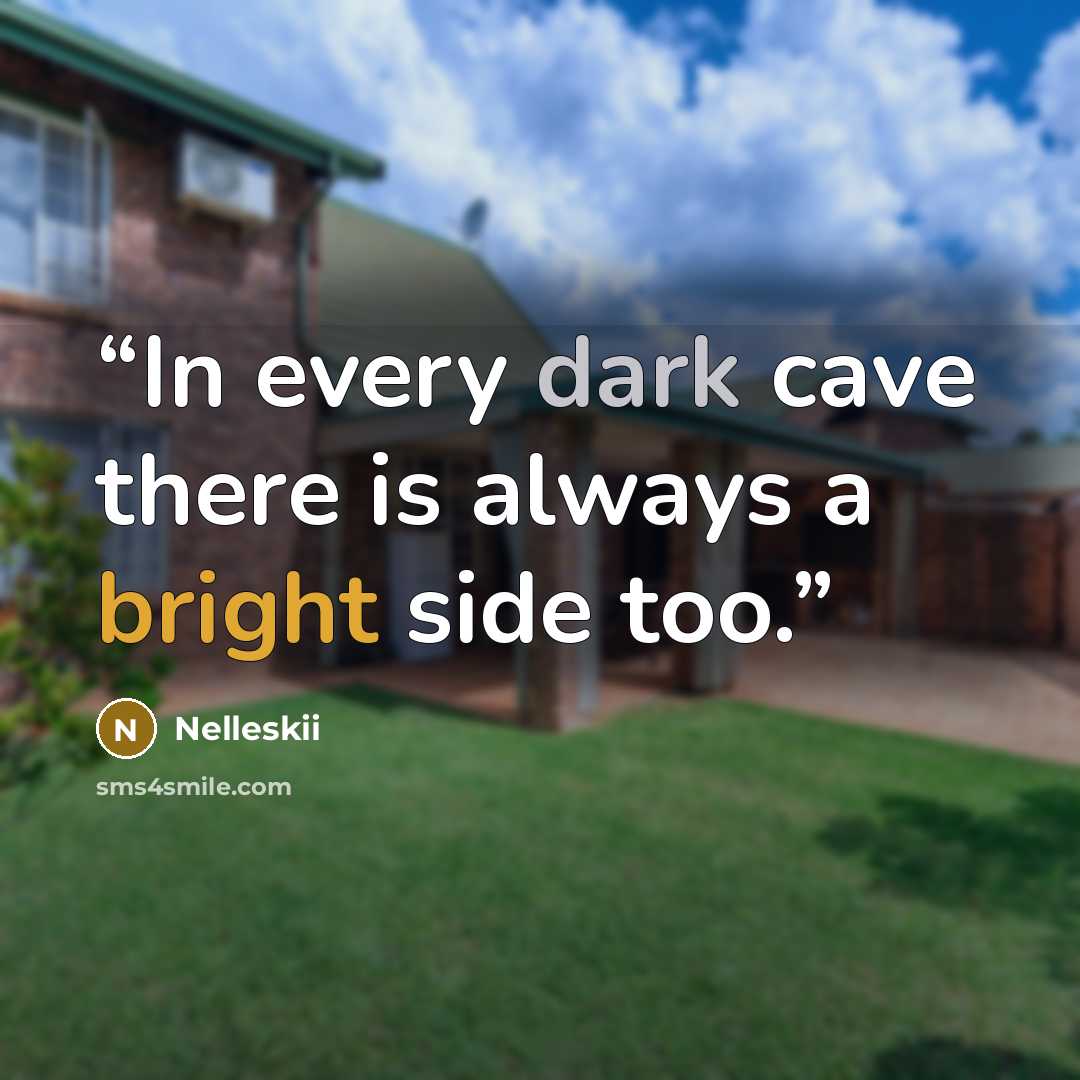 “In every dark cave there is always a bright side too.” quote by Nelleskii
