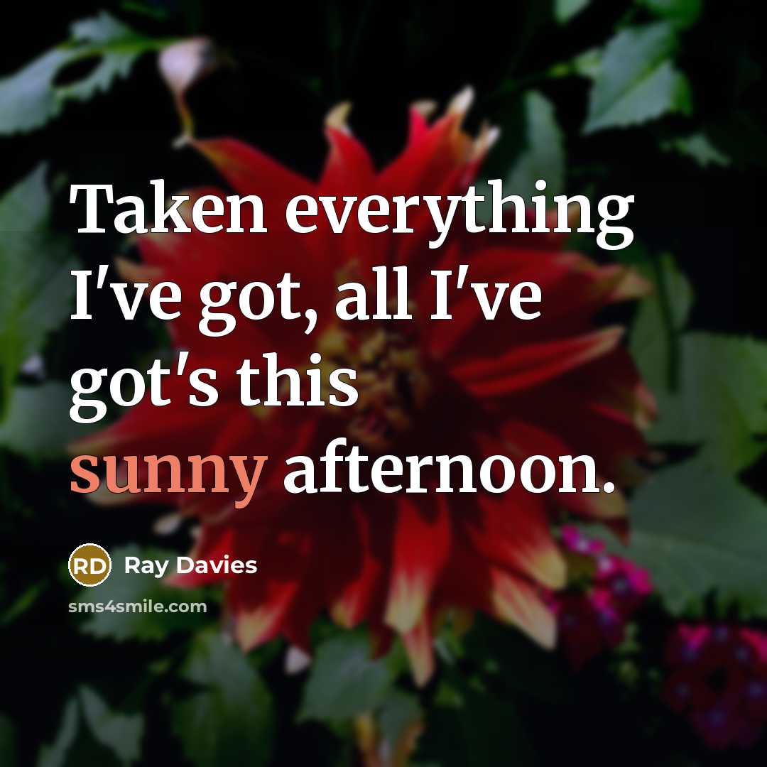 “Taken everything I've got, all I've got's this sunny afternoon.…” quote by Ray Davies