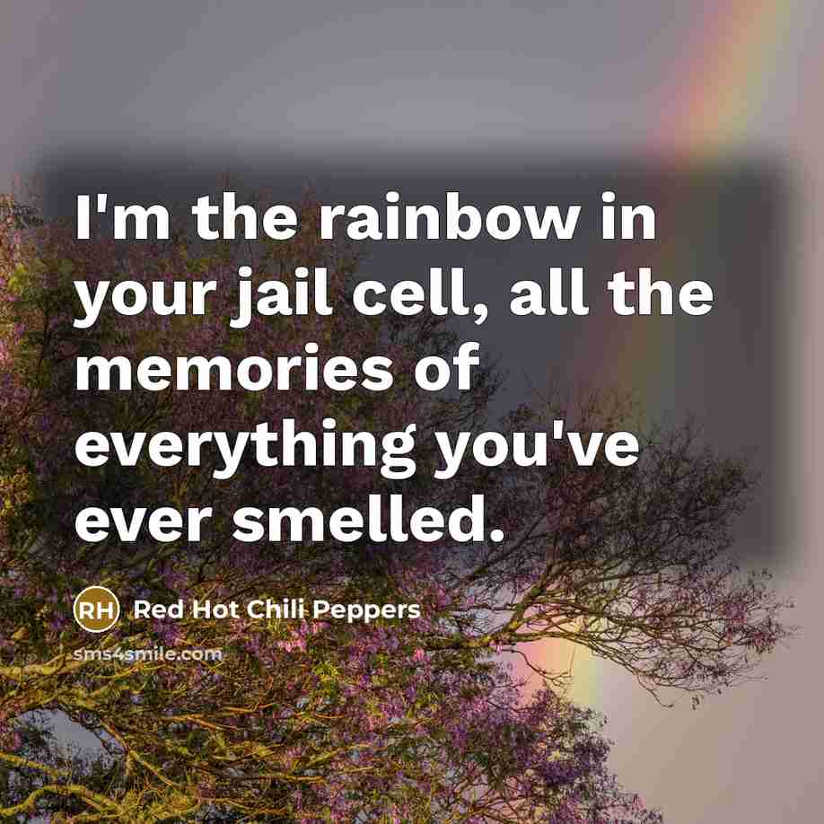 “I'm the rainbow in your jail cell, all the memories…” quote by Red Hot Chili Peppers