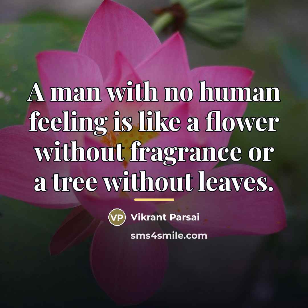 “A man with no human feeling is like a flower…” quote by Vikrant Parsai