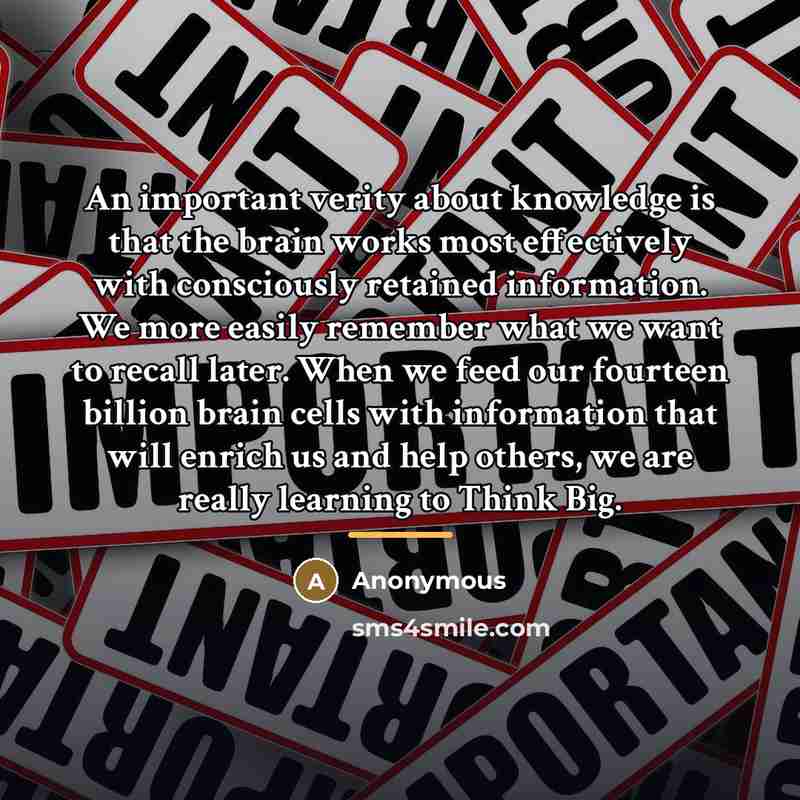 “An important verity about knowledge is that the brain works…” quote by Anonymous