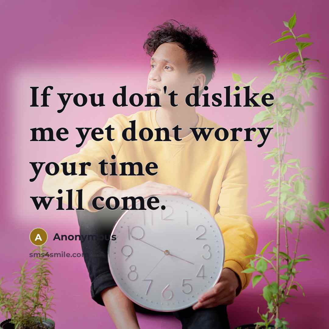 “If you don't dislike me yet dont worry your time will come.” quote by Anonymous