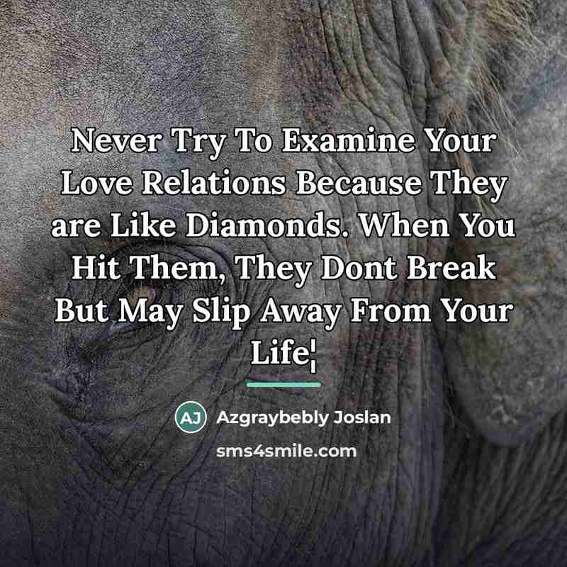 “Never Try To Examine Your Love Relations Because They are…” quote by Azgraybebly Joslan